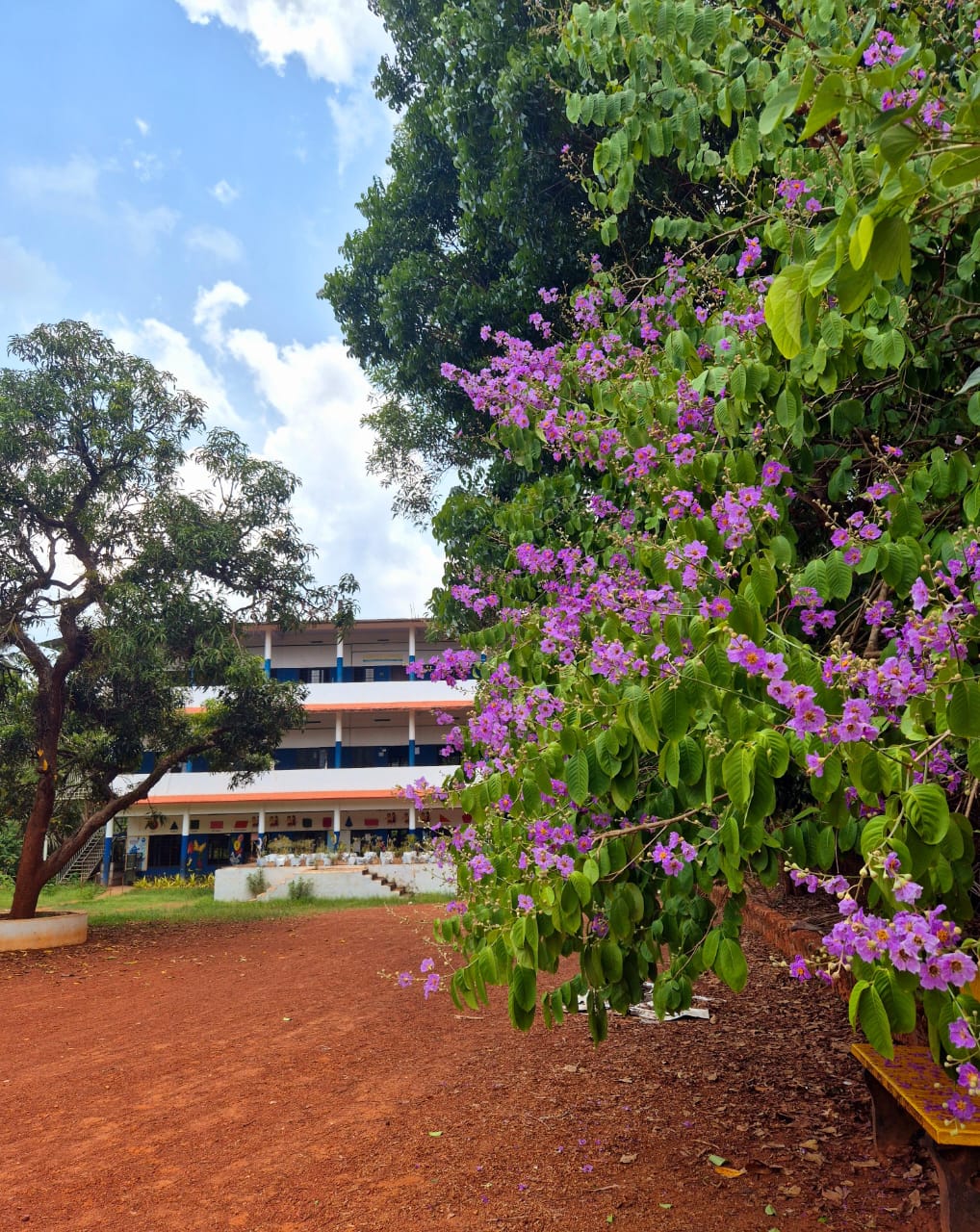 School Building